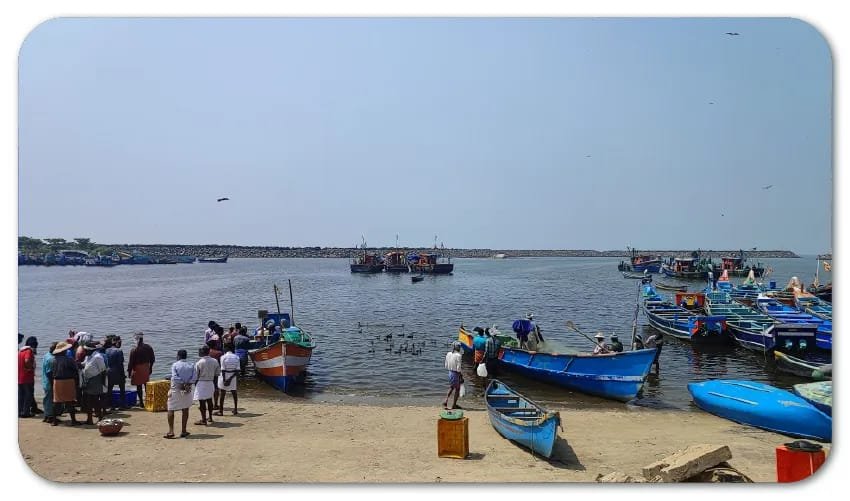 മത്സ്യലഭ്യത കുറവ് രൂക്ഷം ; തൊഴിലില്ലാതെ തൊഴിലാളികൾ