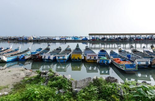 കൊയിലാണ്ടി ഹാർബർ- രണ്ടാം ഘട്ട വികസന പ്രവർത്തനം തുടങ്ങി