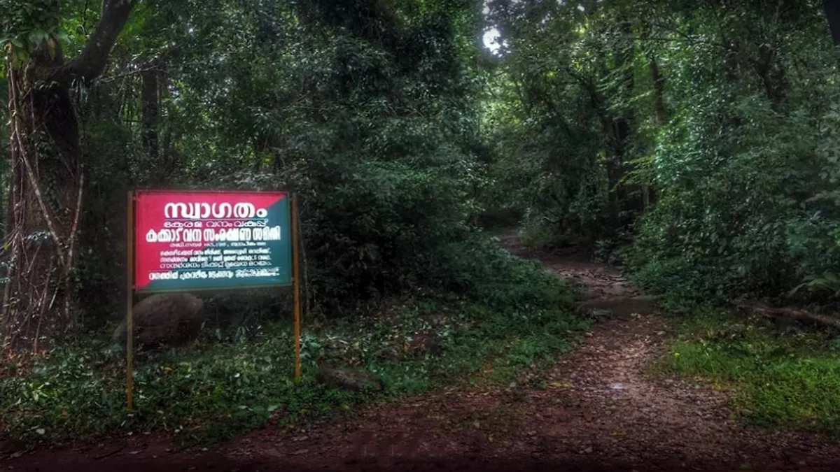 കക്കയം ഇക്കോ ടൂറിസം കേന്ദ്രം ഇന്ന് തുറക്കും കക്കയം ഇക്കോ ടൂറിസം കേന്ദ്രം ഇന്ന് തുറക്കും