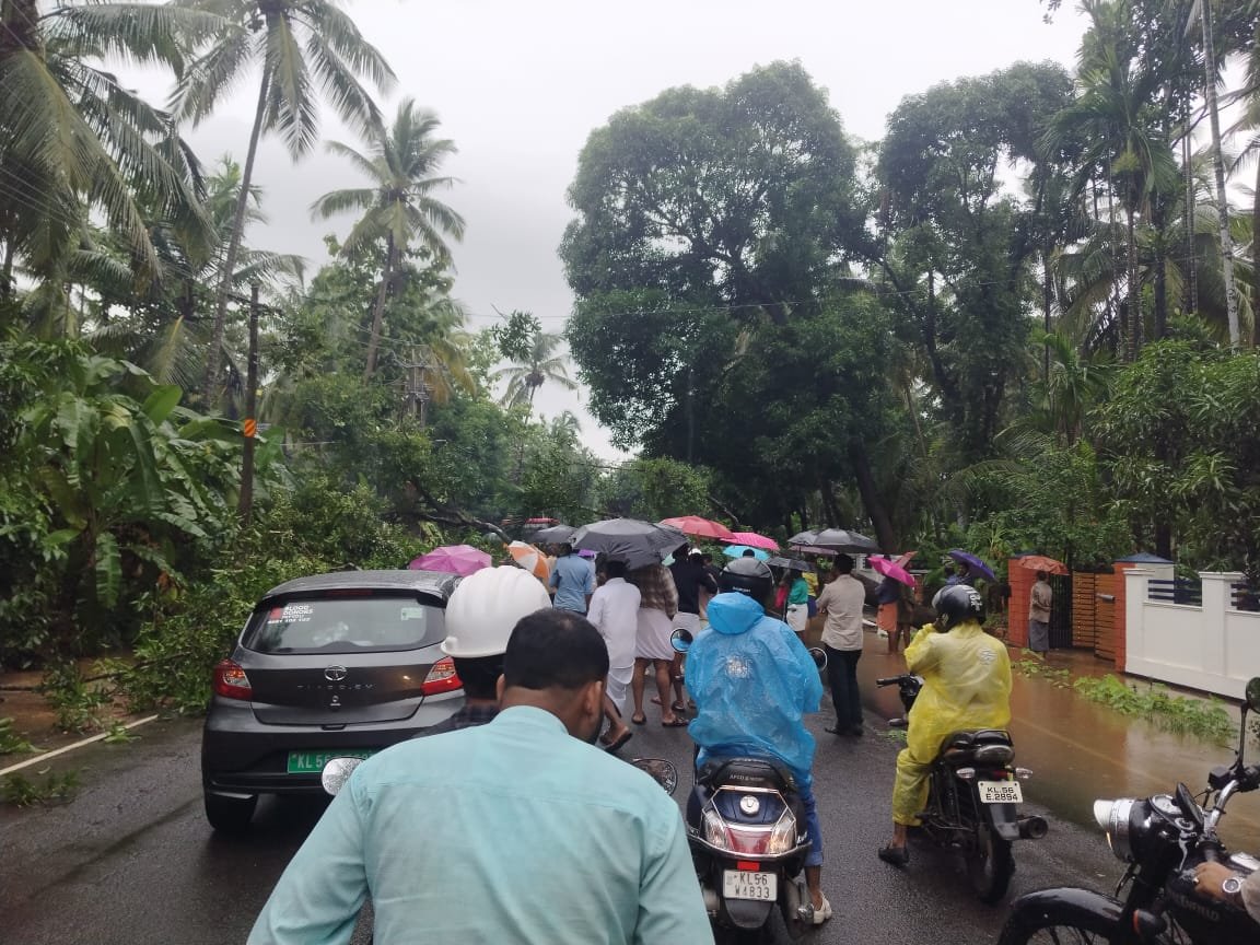 മാവ് പൊട്ടി; വീണു മൂടാടിയിൽ ഗതാഗതക്കുരുക്ക്