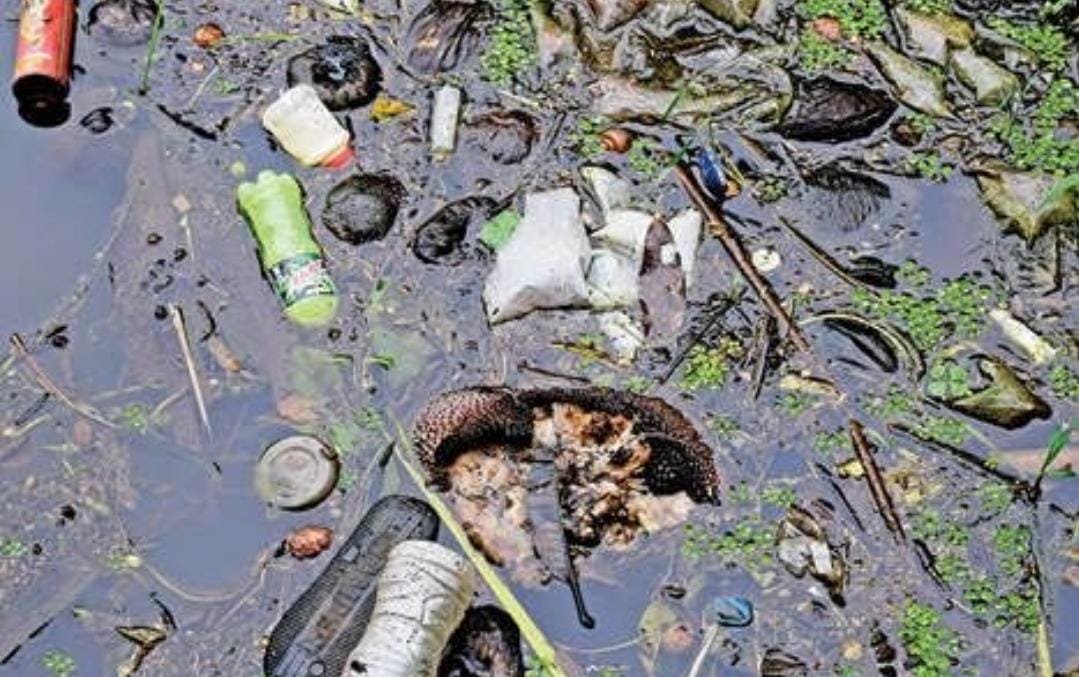 വയലിൽ പ്ലാസ്റ്റിക് മുതൽ കക്കൂസ് മാലിന്യം വരെ; പൊറുതിമുട്ടി ജനം വയലിൽ പ്ലാസ്റ്റിക് മുതൽ കക്കൂസ് മാലിന്യം വരെ; പൊറുതിമുട്ടി ജനം
