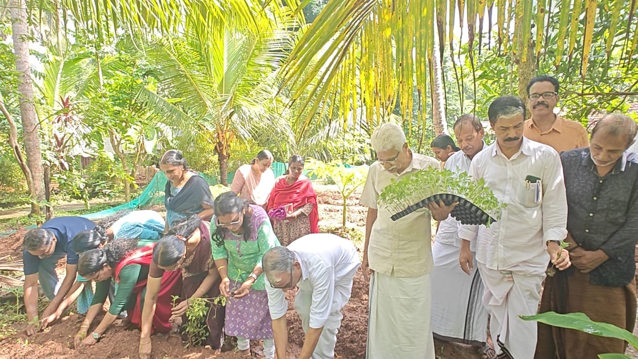 ചേമഞ്ചേരി അഭയത്തിൽ ചെണ്ടുമല്ലി പൂ കൃഷി ആരംഭിച്ചു ചേമഞ്ചേരി അഭയത്തിൽ ചെണ്ടുമല്ലി പൂ കൃഷി ആരംഭിച്ചു