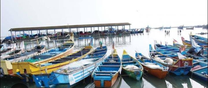 അമേരിക്കയുടെ മത്സ്യ കയറ്റുമതി നിരോധനം – സർക്കാർ ഇടപെടണം അമേരിക്കയുടെ മത്സ്യ കയറ്റുമതി നിരോധനം – സർക്കാർ ഇടപെടണം