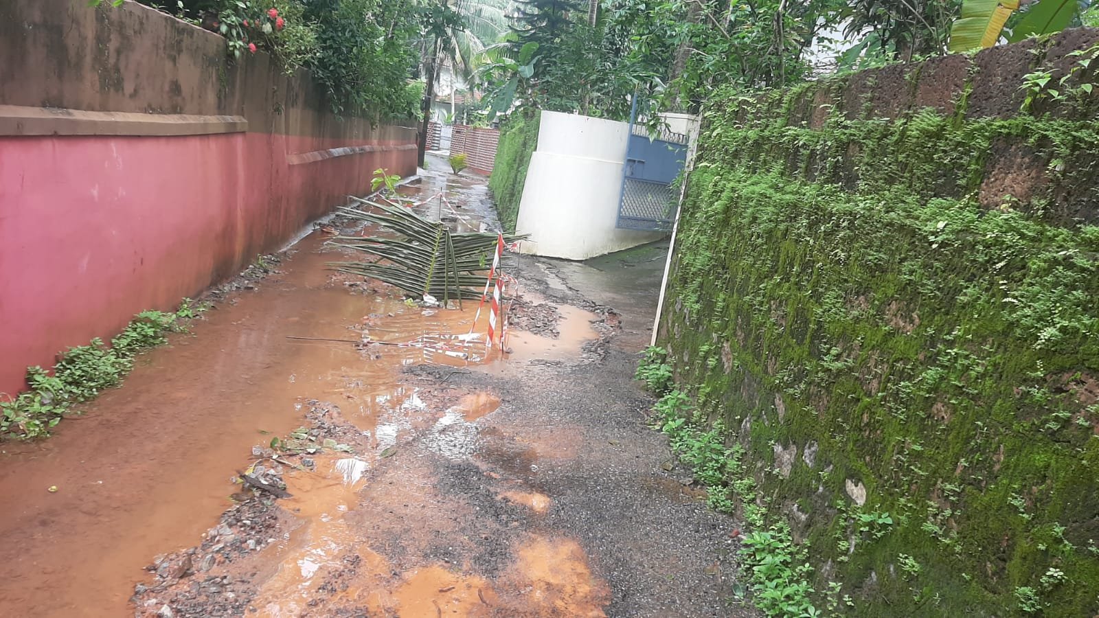 മൂന്ന് കൊല്ലമായി ചളിക്കുളമാണ്ഈ റോഡ് മൂന്ന് കൊല്ലമായി ചളിക്കുളമാണ്ഈ റോഡ്