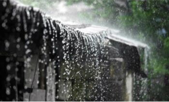 സംസ്ഥാനത്ത് ശക്തമായ മഴയ്ക്ക് സാദ്ധ്യത