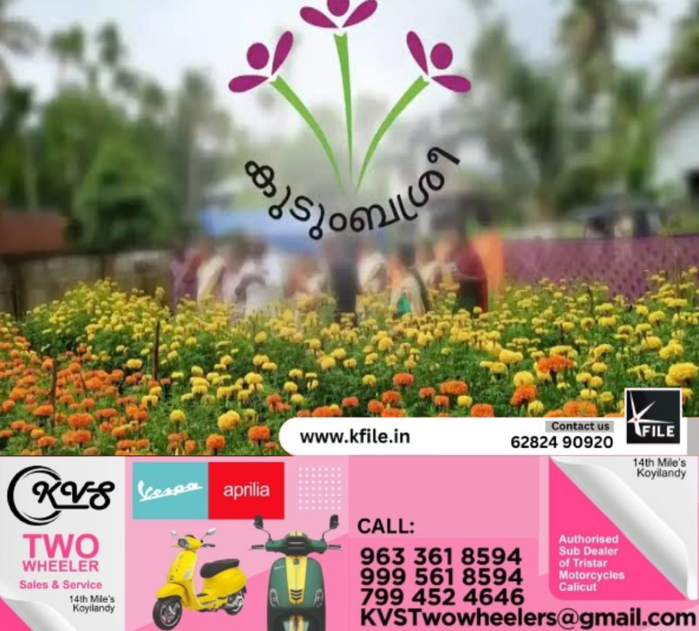 ആയിരമേക്കറിൽ വിരിയിച്ച പൂക്കളുമായി കുടുംബശ്രീ ആയിരമേക്കറിൽ വിരിയിച്ച പൂക്കളുമായി കുടുംബശ്രീ