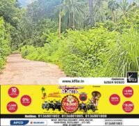 പാതയോരം കാടുമൂടി