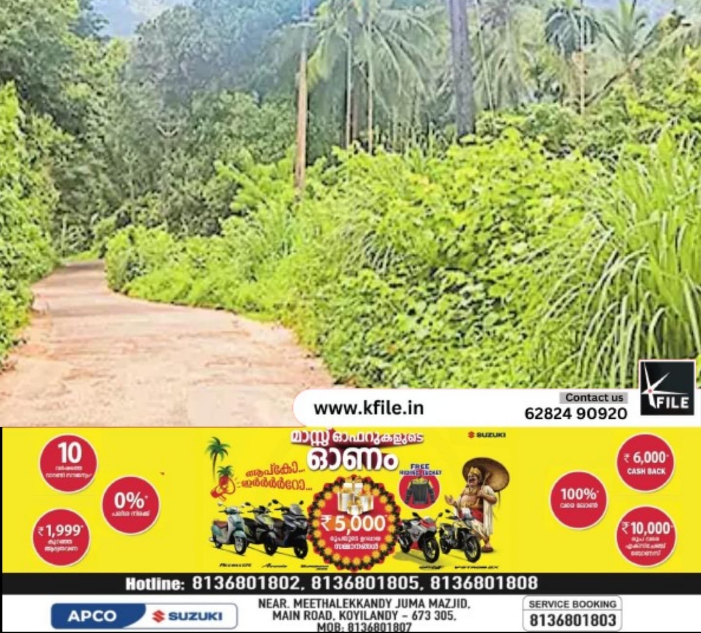 പാതയോരം കാടുമൂടി പാതയോരം കാടുമൂടി