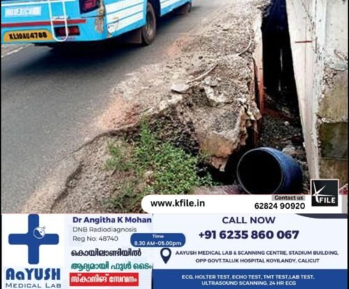 നീലിത്തോട് പാലത്തിലെ കുഴി യാത്രക്കാർക്ക് ഭീഷണിയാവുന്നു