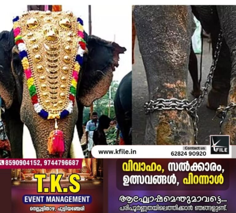 ഉത്സവങ്ങൾക്ക് ആനയെ എഴുന്നള്ളിക്കുന്നതിനെതിരെ ഹൈക്കോടതിയുടെ അതിരൂക്ഷ വിമർശനം