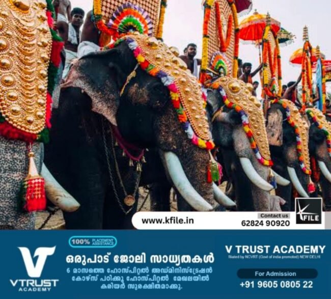 ആനകളെ തുടർച്ചയായി മൂന്നുമണിക്കൂറിൽ കൂടുതൽ എഴുന്നള്ളിക്കരുത്- ഹൈക്കോടതി