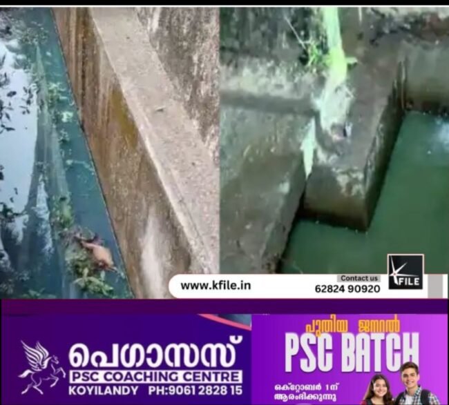 ഇന്ധന ചോർച്ച ; ജലാശയങ്ങളുടെ ശുചീകരണ പ്രവർത്തനങ്ങൾ ഇന്ന് തുടങ്ങും