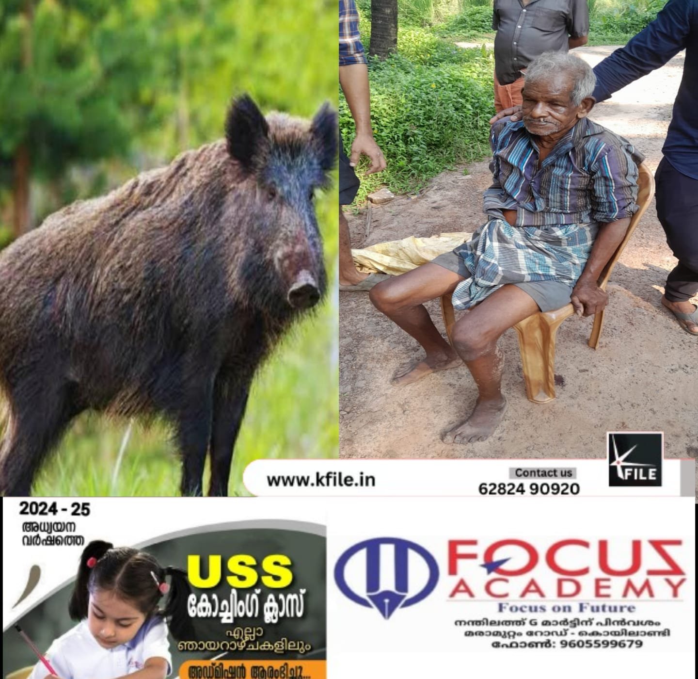 റോഡരികിലൂടെ നടന്നുപോകുകയായിരുന്ന വയോധികന് നേരെ കാട്ടുപന്നി ആക്രമണം റോഡരികിലൂടെ നടന്നുപോകുകയായിരുന്ന വയോധികന് നേരെ കാട്ടുപന്നി ആക്രമണം