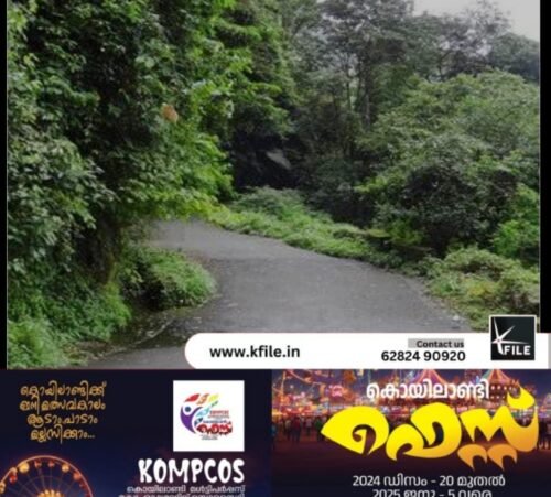 കക്കയം ഡാം സൈറ്റ് റോഡിൽ മരങ്ങൾ വീണ് ഗതാഗതം തടസ്സപ്പെട്ടു