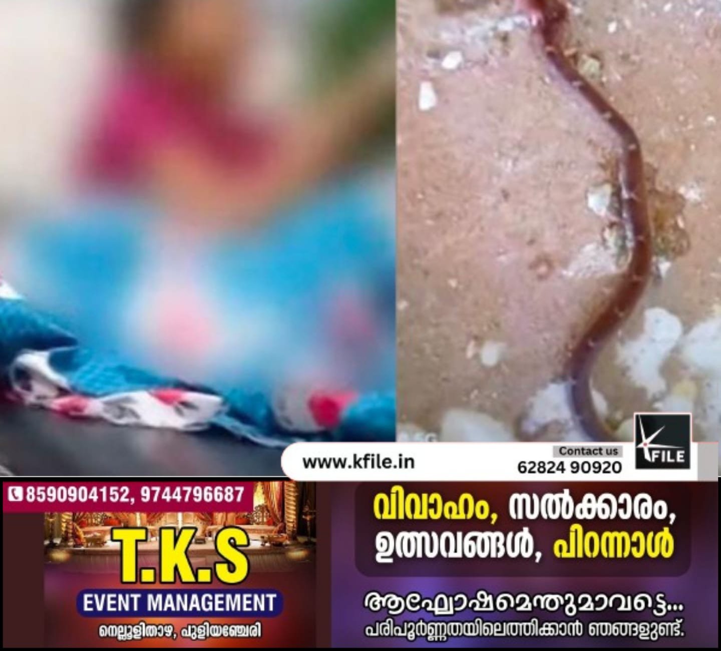 സ്കൂളിൽ വിദ്യാർഥിനിക്ക് പാമ്പുകടിയേറ്റ സംഭവം: അന്വേഷണത്തിന് ഉത്തരവിട്ട് മന്ത്രി സ്കൂളിൽ വിദ്യാർഥിനിക്ക് പാമ്പുകടിയേറ്റ സംഭവം: അന്വേഷണത്തിന് ഉത്തരവിട്ട് മന്ത്രി