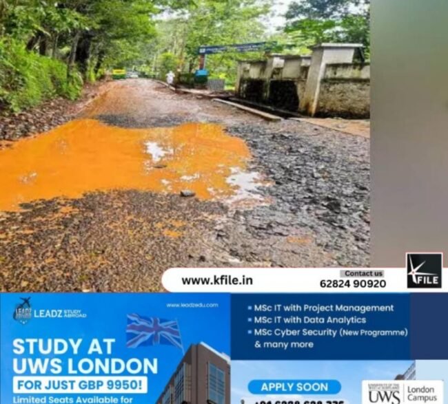 ഇരുവശത്തും കുഴി;സംസ്ഥാനപാതയിൽ തെരുവത്ത് കടവ് മുതൽ കരുവണ്ണൂർ വരെ ദുരിതയാത്ര