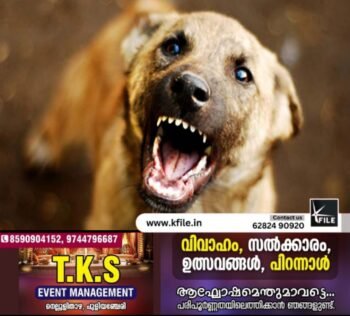 പനങ്ങാട് കരയത്തൊടിയിൽ പേപ്പട്ടി ശല്യം