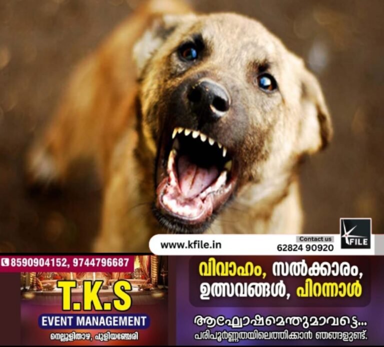 കൊയിലാണ്ടിയിൽ തെരുവുനായ ആക്രമണത്തിൽ വിദ്യാർത്ഥിനിക്കും ആശാവർക്കർക്കും കടിയേറ്റു