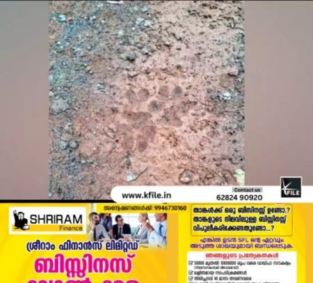 വല്ലത്തായ് പാറയിൽ നാട്ടുകാർ വീണ്ടും പുലിയെ കണ്ടു