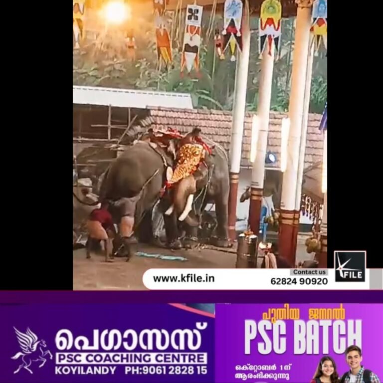 മണക്കുളങ്ങര ക്ഷേത്രോത്സവത്തിനിടെ ആനയിടഞ്ഞ സംഭവം ;പ്രാഥമിക റിപ്പോർട്ട്‌ 11മണിയോടെ