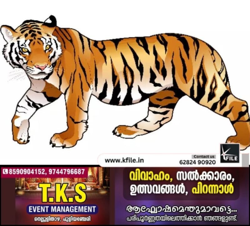 ജനവാസമേഖലയിലെ വന്യജീവികളെ വെടിവെച്ചുകൊല്ലും; തീരുമാനവുമായി ചക്കിട്ടപ്പാറ പഞ്ചായത്ത്