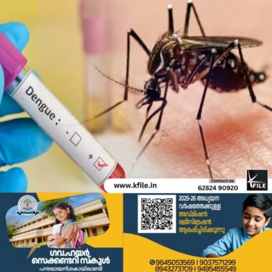 വേനൽമഴ; ഡെങ്കിപ്പനിക്കെതിരെ ജാഗ്രത വേണം-ജില്ലാ ആരോഗ്യവകുപ്പ്