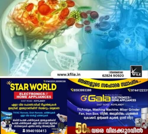 കൊച്ചിയിൽ ആറു വയസുകാരന് മസ്തിഷ്ക ജ്വരം സ്ഥിരീകരിച്ചു