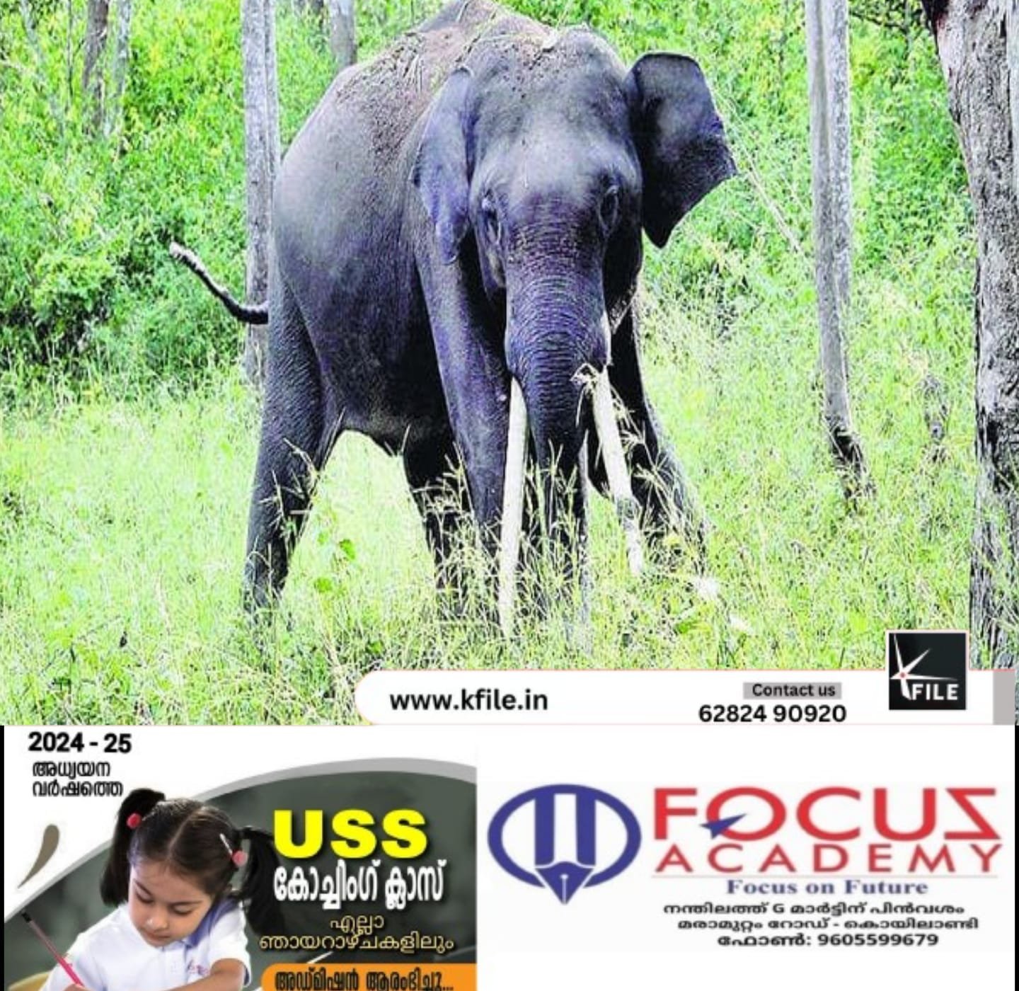 കലിയടങ്ങാതെ കാട്ടാന;ഒരു സ്ത്രീ ഉൾപ്പടെ 2 പേർക്ക് ജീവൻ നഷ്ടമായി കലിയടങ്ങാതെ കാട്ടാന;ഒരു സ്ത്രീ ഉൾപ്പടെ 2 പേർക്ക് ജീവൻ നഷ്ടമായി
