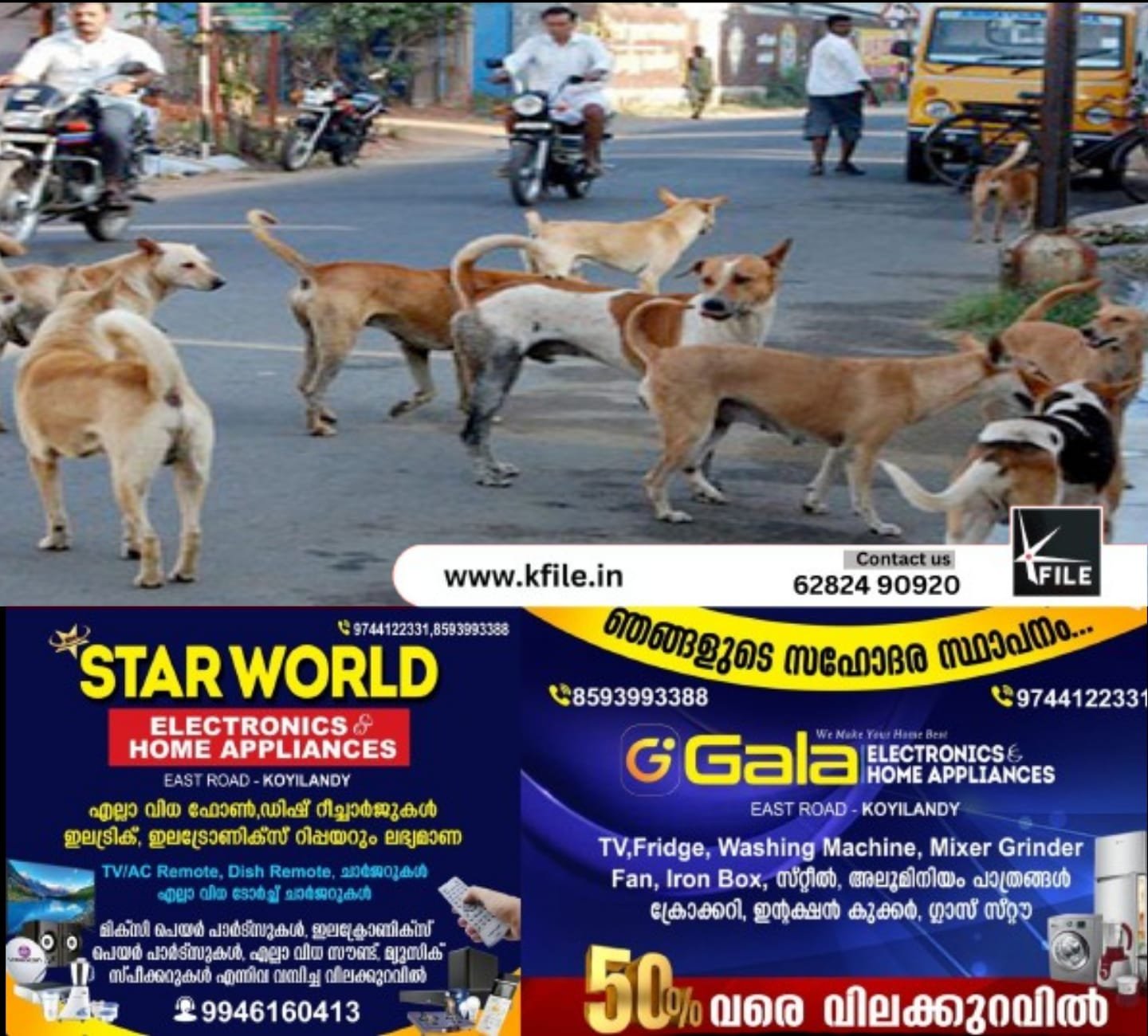 തെരുവുനായകളുടെ ആക്രമണത്തിൽ മൂന്ന് ആടുകൾ ചത്ത നിലയിൽ തെരുവുനായകളുടെ ആക്രമണത്തിൽ മൂന്ന് ആടുകൾ ചത്ത നിലയിൽ