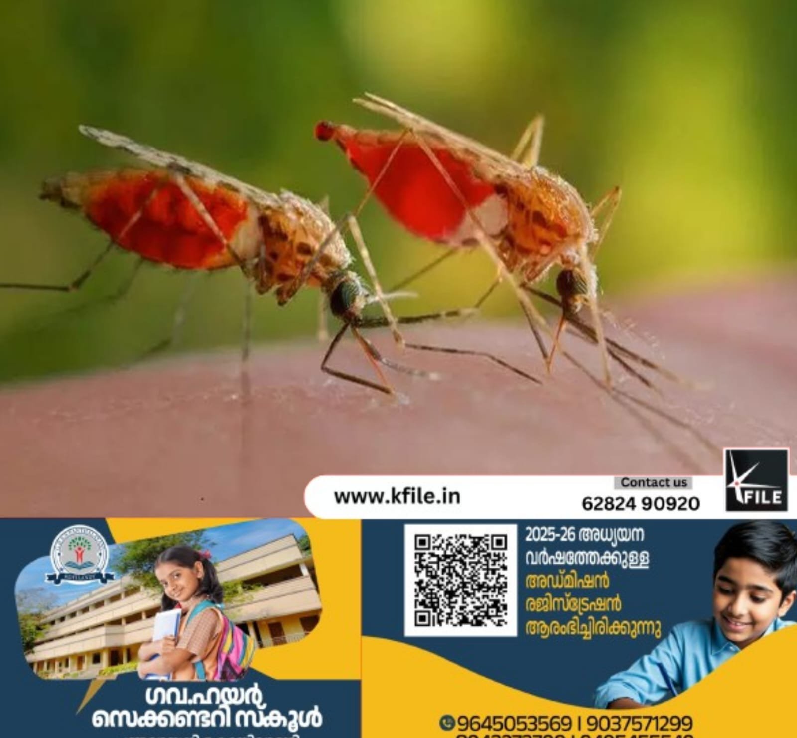 ജില്ലയിൽ പനി, ഡെങ്കിപ്പനി വർധിക്കുന്നു ജില്ലയിൽ പനി, ഡെങ്കിപ്പനി വർധിക്കുന്നു