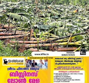 വ്യാപക കൃഷി നാശം:കർഷകർ പ്രതിസന്ധിയിൽ