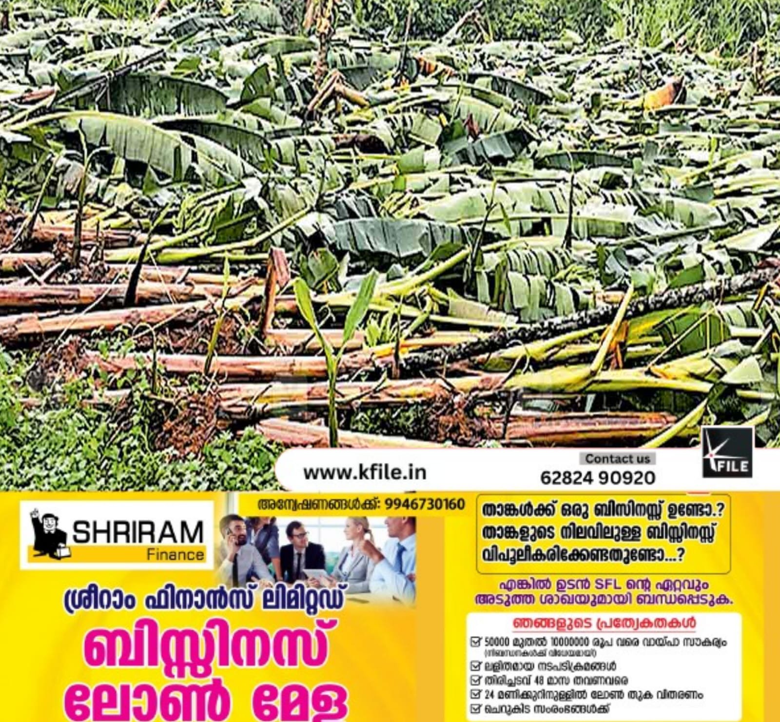 വ്യാപക കൃഷി നാശം:കർഷകർ പ്രതിസന്ധിയിൽ വ്യാപക കൃഷി നാശം:കർഷകർ പ്രതിസന്ധിയിൽ