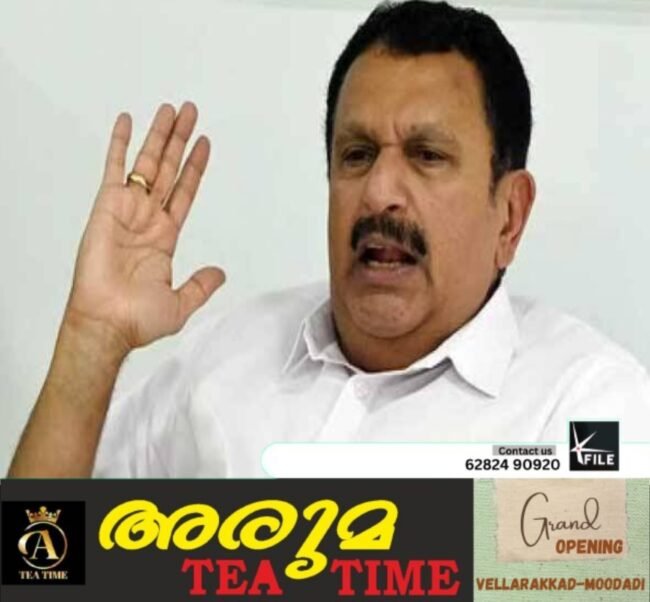 രാഹുൽ അൻവറിന്റെ വീട്ടിൽ പോയത് വിവാദമാക്കേണ്ട കാര്യമില്ലെന്ന് കെ മുരളീധരൻ