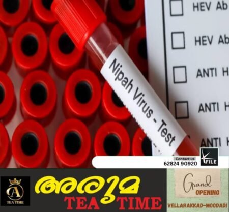 വീണ്ടും നിപ മരണം; കനത്ത ജാഗ്രതയിൽ ആരോഗ്യവകുപ്പ്