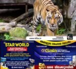 തിരുവനന്തപുരം മൃഗശാലയിൽ കടുവ ജീവനക്കാരനെ ആക്രമിച്ചു