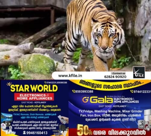 തിരുവനന്തപുരം മൃഗശാലയിൽ കടുവ ജീവനക്കാരനെ ആക്രമിച്ചു