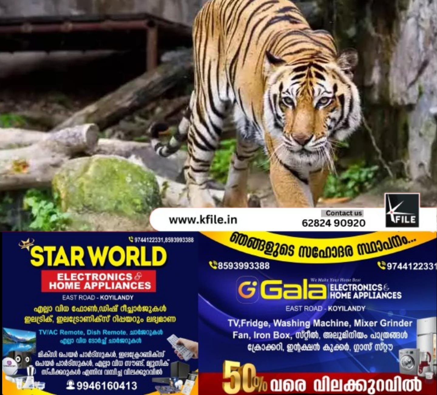തിരുവനന്തപുരം മൃഗശാലയിൽ കടുവ ജീവനക്കാരനെ ആക്രമിച്ചു തിരുവനന്തപുരം മൃഗശാലയിൽ കടുവ ജീവനക്കാരനെ ആക്രമിച്ചു