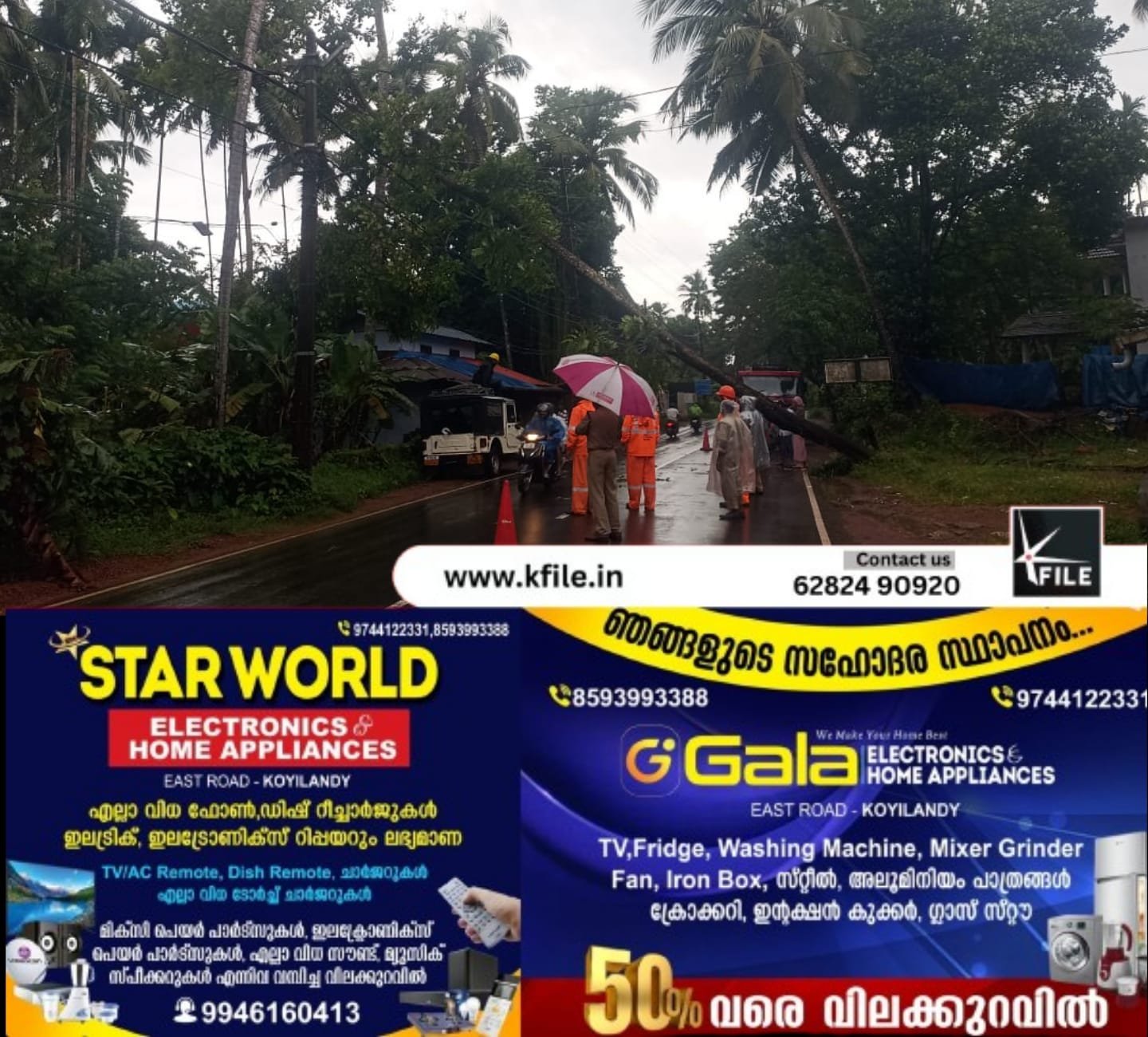 കുറുവങ്ങാട് പോസ്റ്റ് ഓഫീസ് ബസ് സ്റ്റോപ്പിന് സമീപം 11 കെ.വി ലൈനിൽ മരം വീണു കുറുവങ്ങാട് പോസ്റ്റ് ഓഫീസ് ബസ് സ്റ്റോപ്പിന് സമീപം 11 കെ.വി ലൈനിൽ മരം വീണു