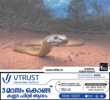 സംസ്ഥാനത്തെ അധ്യാപകർക്ക് പാമ്പ് പിടിക്കാൻ പരിശീലനം