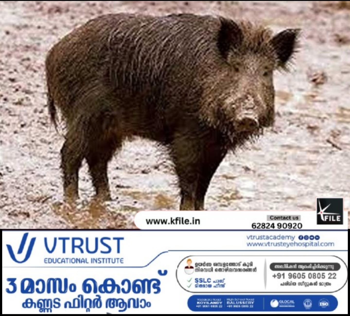 മനുഷ്യ വന്യജീവി സംഘർഷത്തിനും പ്രശ്ന പരിഹാരത്തിനും നിവാരണത്തിനും പുതിയ നയരേഖയുമായി സർക്കാർ