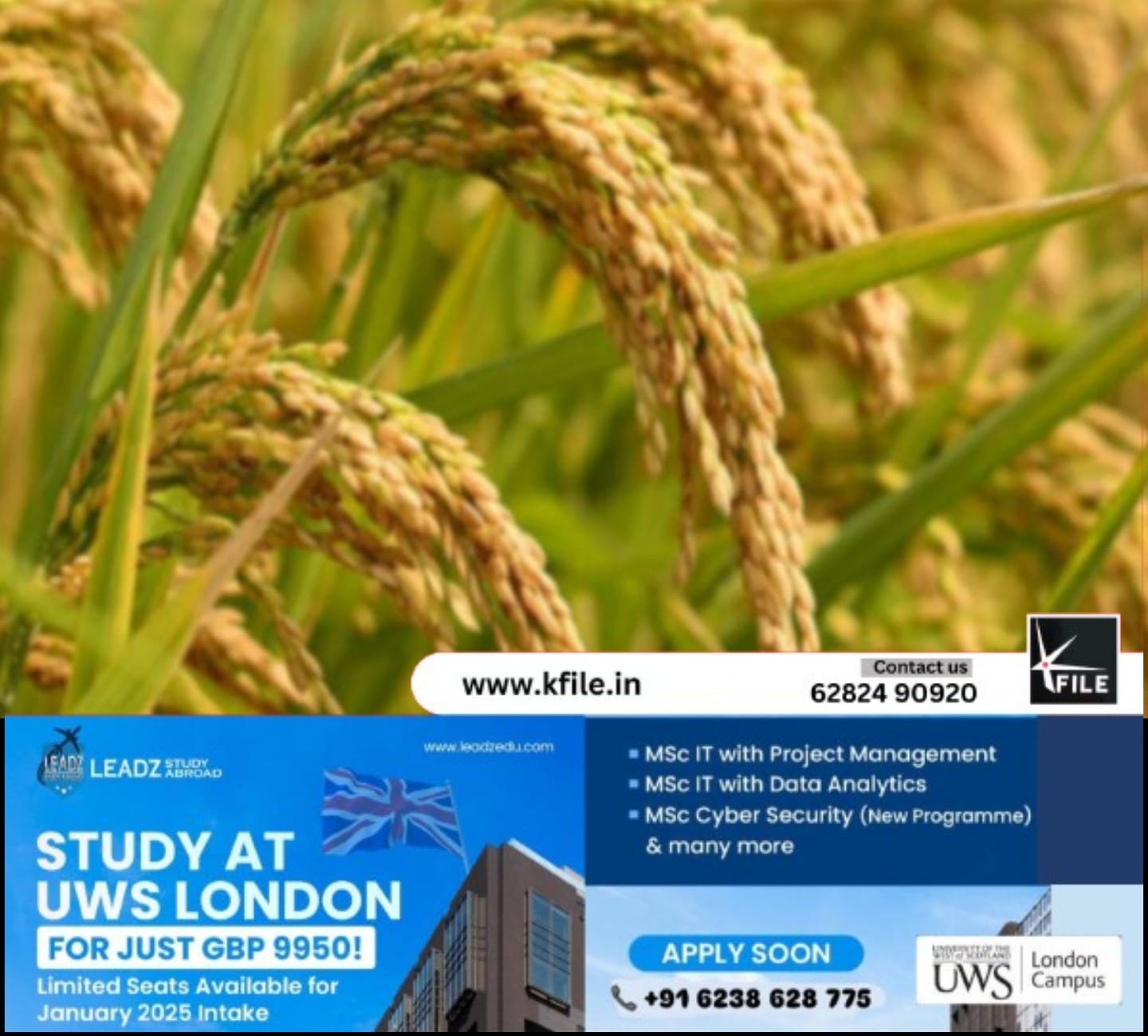 സംസ്ഥാനത്തെ നെല്ല് സംഭരണവുമായി ബന്ധപ്പെട്ട പ്രതിസന്ധി നീങ്ങുന്നു