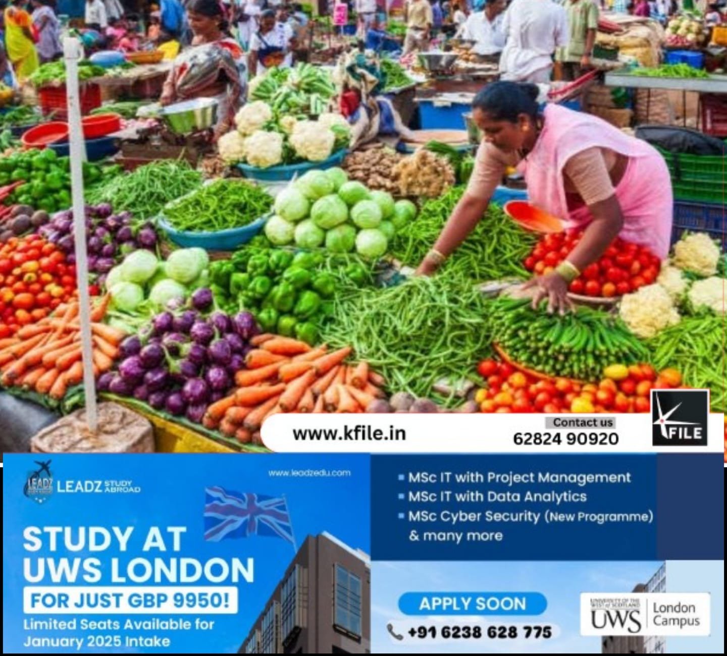 സംസ്ഥാനത്ത് പച്ചക്കറിക്ക് പൊള്ളുന്ന വില