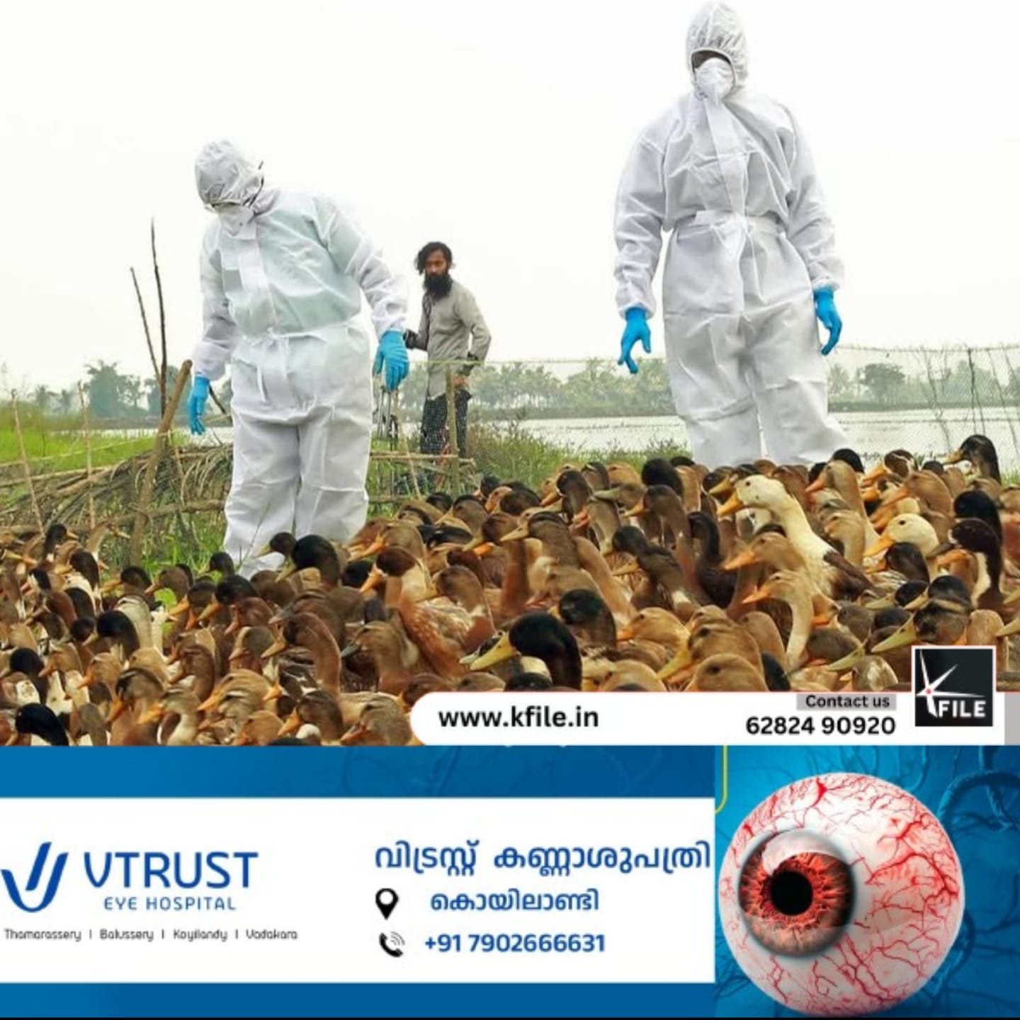 കുട്ടനാട്ടിൽ പക്ഷിപ്പനി സ്ഥിരീകരിച്ചു കുട്ടനാട്ടിൽ പക്ഷിപ്പനി സ്ഥിരീകരിച്ചു