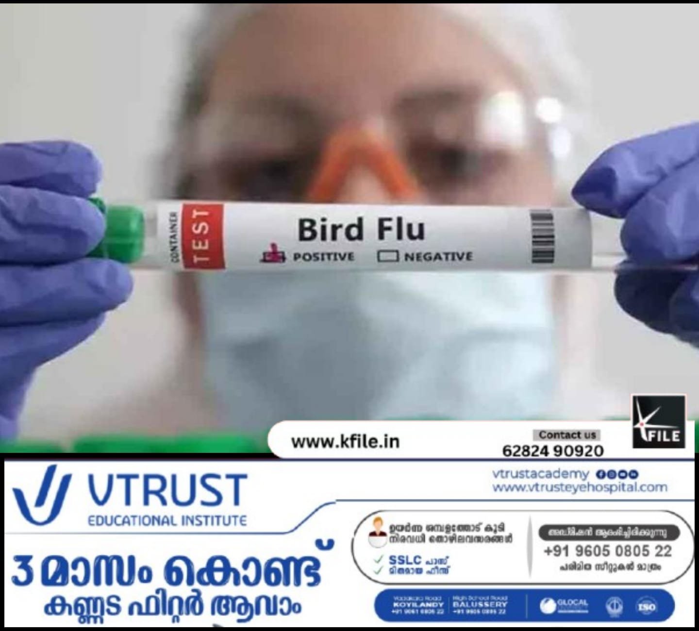 കണ്ണൂരിൽ പക്ഷിപ്പനി സ്ഥിരീകരിച്ചു; കണ്ടെത്തിയത് കാക്കയിൽ