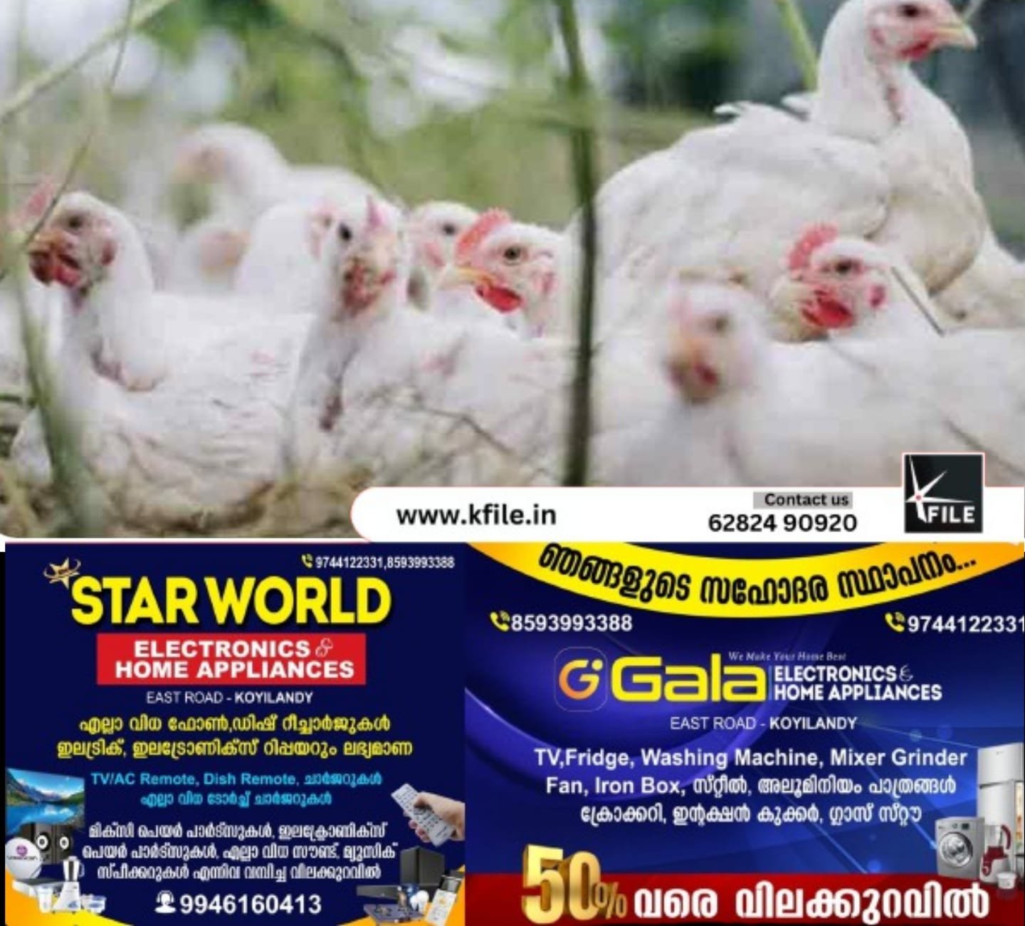 കോഴിക്കോട് പക്ഷിപ്പനി സ്ഥിരീകരിച്ചു