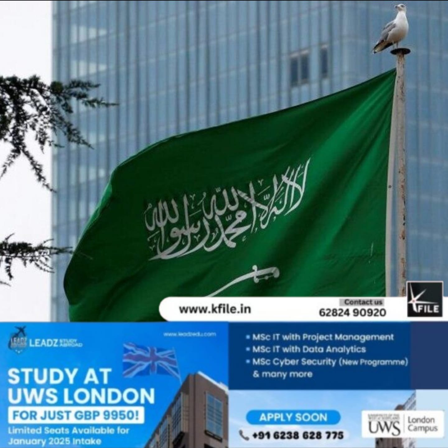 സൗദി അറേബ്യയിലെ ഇന്ത്യൻ പൗരന്മാർക്ക് ജാഗ്രത നിർദേശവുമായി ഇന്ത്യൻ എംബസി സൗദി അറേബ്യയിലെ ഇന്ത്യൻ പൗരന്മാർക്ക് ജാഗ്രത നിർദേശവുമായി ഇന്ത്യൻ എംബസി