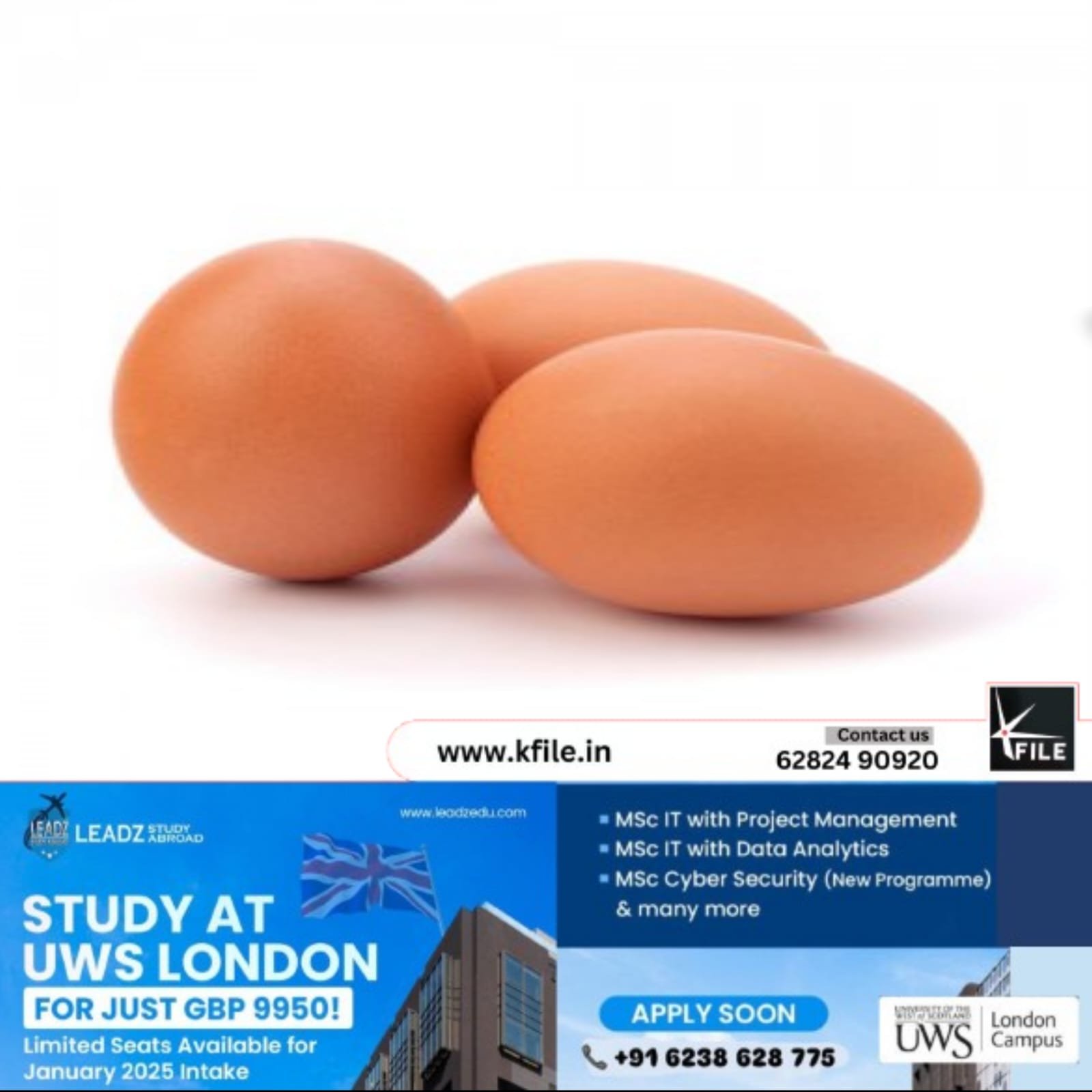 ഗൾഫ് മേഖലയിലേക്കുള്ള കയറ്റുമതി പ്രതിസന്ധിമുട്ടവില കുത്തനെ ഇടിഞ്ഞു