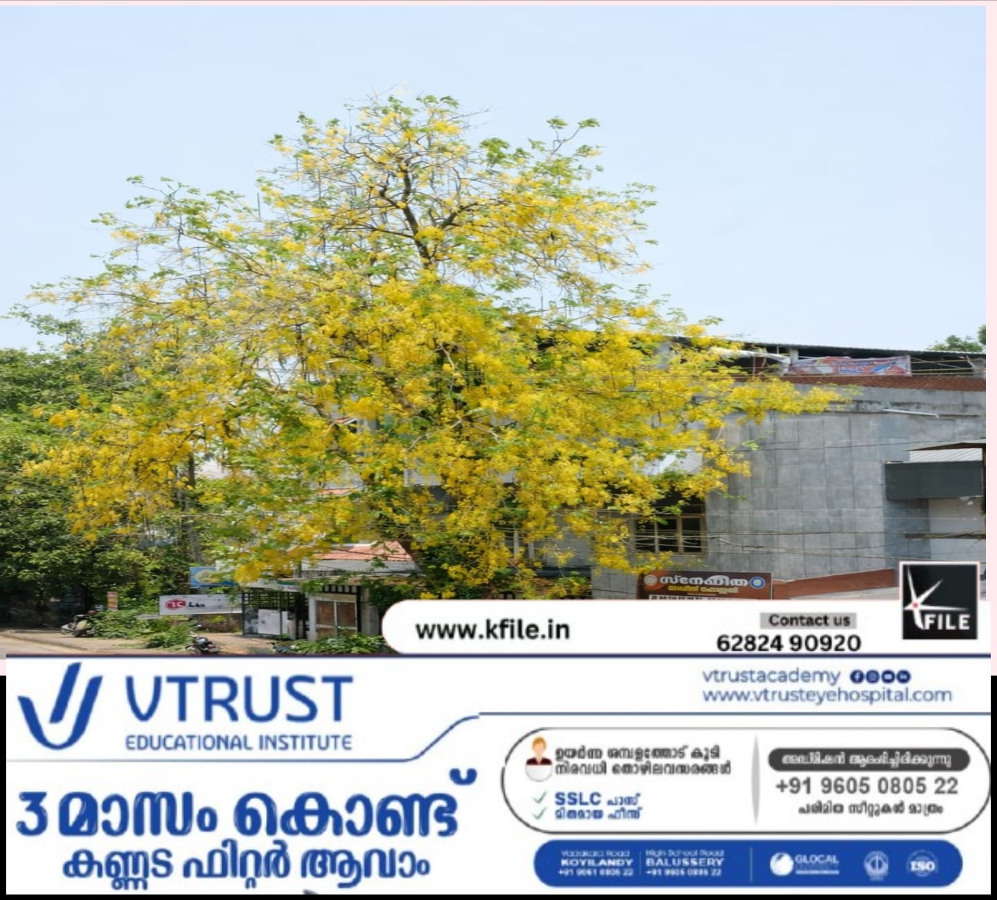 വിഷുവിന്റെ വരവറിയിച്ച് കണിക്കൊന്ന പൂത്തു ; കാണാനെത്തി ജനക്കൂട്ടം വിഷുവിന്റെ വരവറിയിച്ച് കണിക്കൊന്ന പൂത്തു ; കാണാനെത്തി ജനക്കൂട്ടം