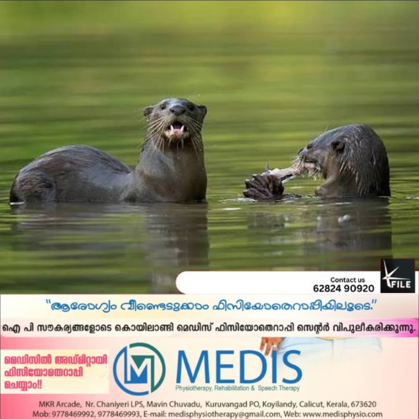 ഇരുവഴിഞ്ഞി പുഴയിൽ കുളിക്കാനിറങ്ങിയ കുട്ടികൾ ഉൾപ്പെടെ മൂന്ന് പേർക്ക് നീർ നായയുടെ കടിയേറ്റു