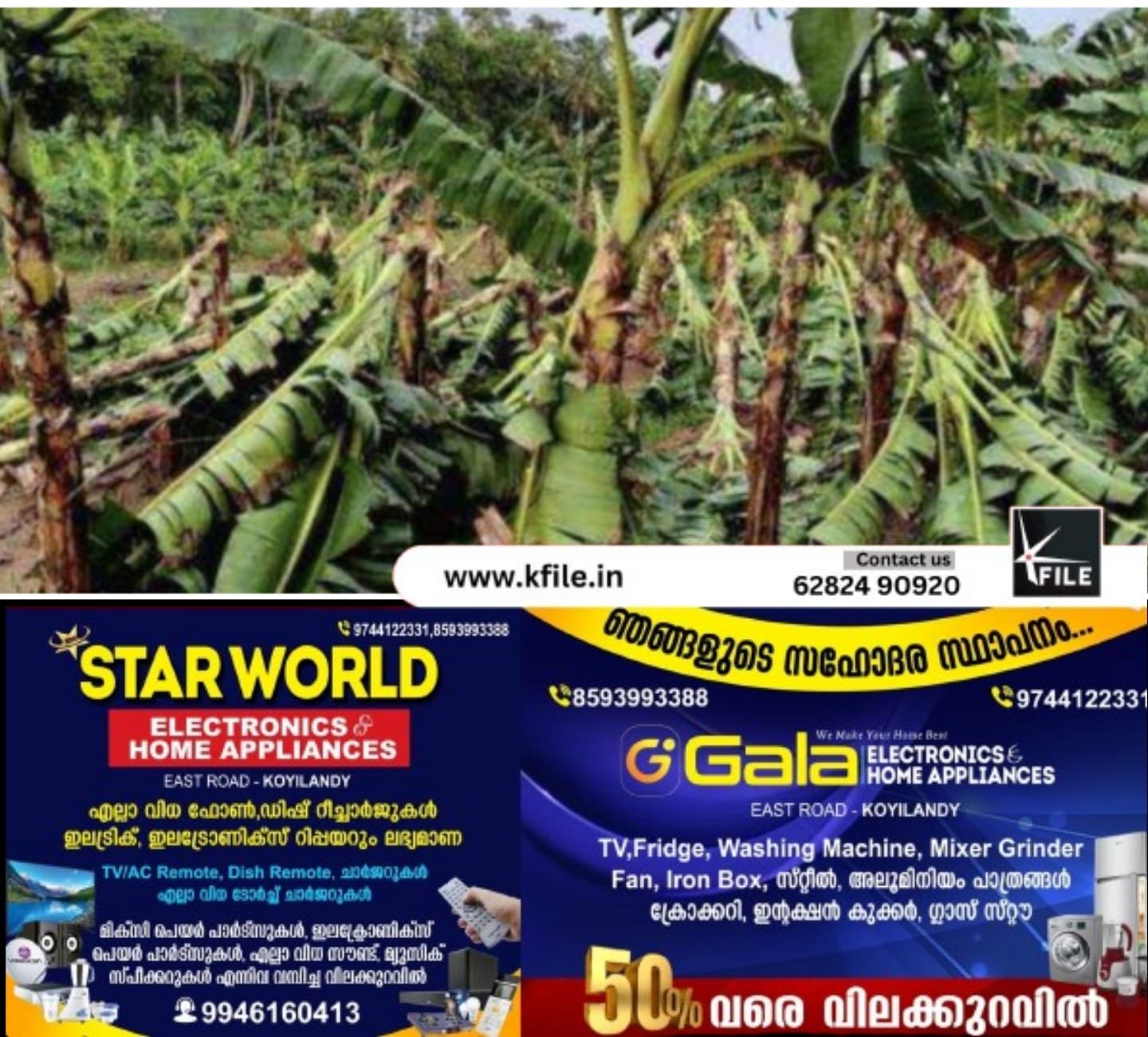 എറണാകുളം ജില്ലയിൽ കൊടുംചൂടും വേനൽമഴയും കാറ്റും മൂലം 43.38 കോടി രൂപയുടെ കൃഷിനാശം